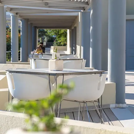 Отель The Majestic